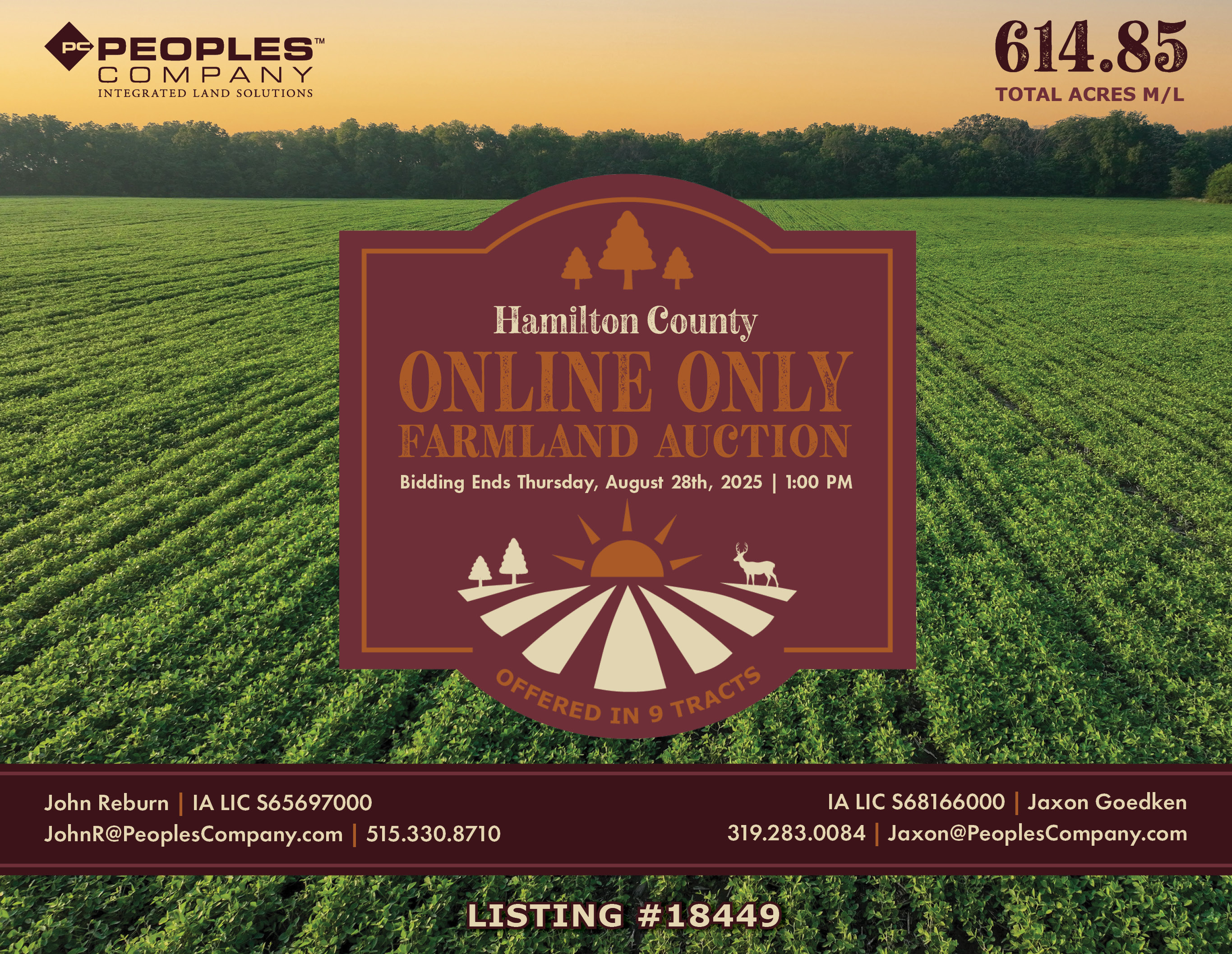 Listing #18449